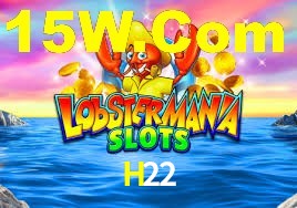 Premium Interface H22